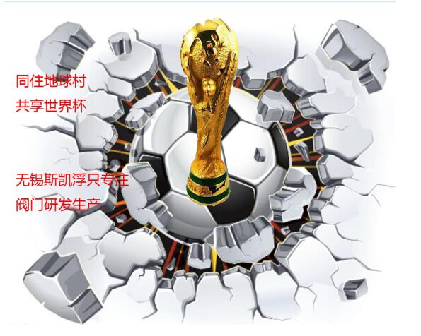 斯凱浮閥門廠家關注世界杯